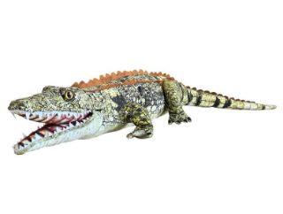 Obrázek z Krokodýl plyš 90cm 